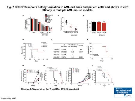 Fig. 7 BRD0705 impairs colony formation in AML cell lines and patient cells and shows in vivo efficacy in multiple AML mouse models. BRD0705 impairs colony.