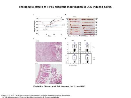 Therapeutic effects of TIP60 allosteric modification in DSS-induced colitis. Therapeutic effects of TIP60 allosteric modification in DSS-induced colitis.
