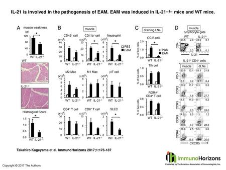IL-21 is involved in the pathogenesis of EAM
