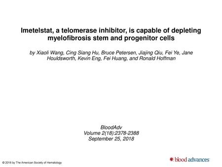 Imetelstat, a telomerase inhibitor, is capable of depleting myelofibrosis stem and progenitor cells by Xiaoli Wang, Cing Siang Hu, Bruce Petersen, Jiajing.