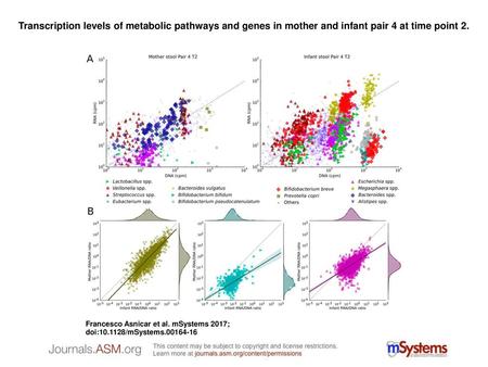 Transcription levels of metabolic pathways and genes in mother and infant pair 4 at time point 2. Transcription levels of metabolic pathways and genes.