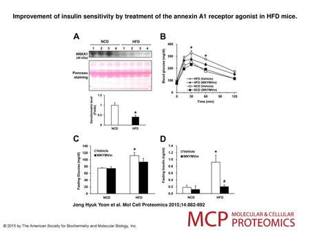 Improvement of insulin sensitivity by treatment of the annexin A1 receptor agonist in HFD mice. Improvement of insulin sensitivity by treatment of the.