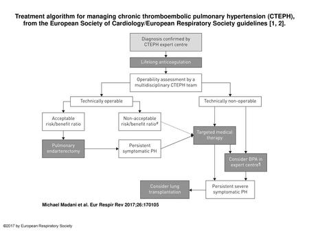 Treatment algorithm for managing chronic thromboembolic pulmonary hypertension (CTEPH), from the European Society of Cardiology/European Respiratory Society.