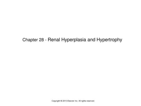 Chapter 28 - Renal Hyperplasia and Hypertrophy