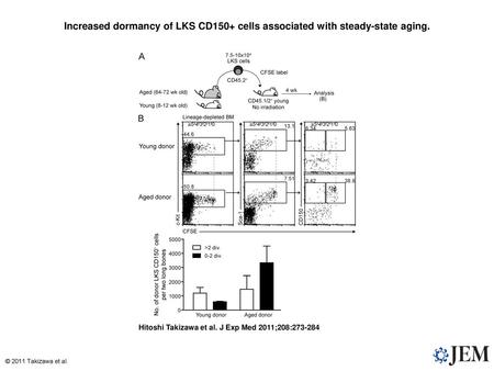 Increased dormancy of LKS CD150+ cells associated with steady-state aging. Increased dormancy of LKS CD150+ cells associated with steady-state aging. (A)