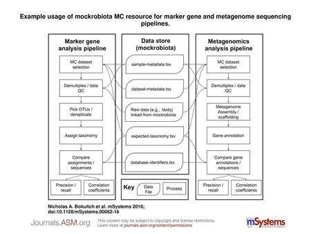 Example usage of mockrobiota MC resource for marker gene and metagenome sequencing pipelines. Example usage of mockrobiota MC resource for marker gene.