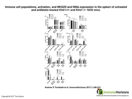 Immune cell populations, activation, and NKG2D and H60a expression in the spleen of untreated and antibiotic-treated Klrk1+/+ and Klrk1−/− NOD mice. Immune.
