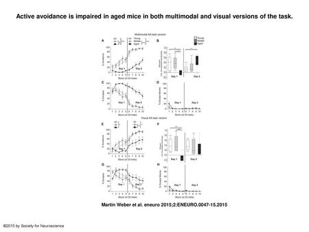 Active avoidance is impaired in aged mice in both multimodal and visual versions of the task. Active avoidance is impaired in aged mice in both multimodal.