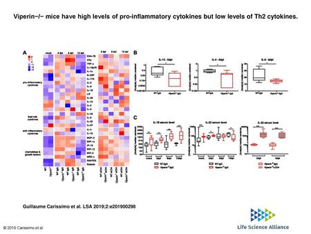 Viperin−/− mice have high levels of pro-inflammatory cytokines but low levels of Th2 cytokines. Viperin−/− mice have high levels of pro-inflammatory cytokines.