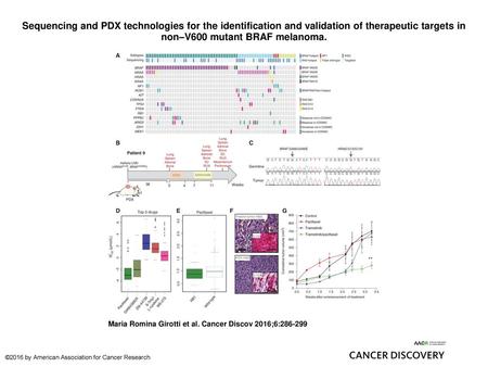 Sequencing and PDX technologies for the identification and validation of therapeutic targets in non–V600 mutant BRAF melanoma. Sequencing and PDX technologies.