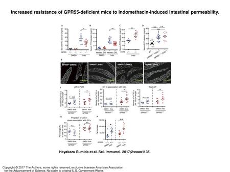 Increased resistance of GPR55-deficient mice to indomethacin-induced intestinal permeability. Increased resistance of GPR55-deficient mice to indomethacin-induced.