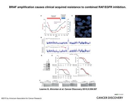 BRAF amplification causes clinical acquired resistance to combined RAF/EGFR inhibition. BRAF amplification causes clinical acquired resistance to combined.
