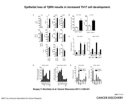 Epithelial loss of TβRII results in increased Th17 cell development.