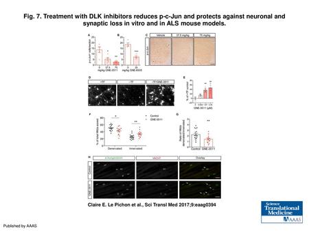 Fig. 7. Treatment with DLK inhibitors reduces p-c-Jun and protects against neuronal and synaptic loss in vitro and in ALS mouse models. Treatment with.