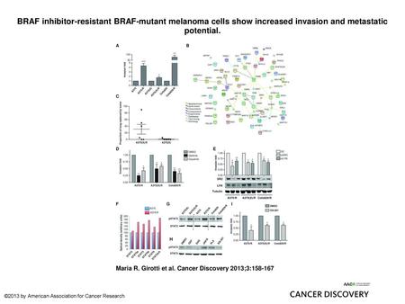 BRAF inhibitor-resistant BRAF-mutant melanoma cells show increased invasion and metastatic potential. BRAF inhibitor-resistant BRAF-mutant melanoma cells.