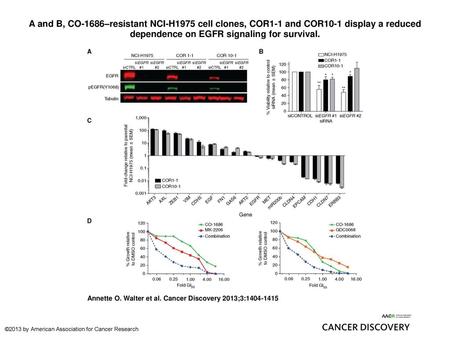 A and B, CO-1686–resistant NCI-H1975 cell clones, COR1-1 and COR10-1 display a reduced dependence on EGFR signaling for survival. A and B, CO-1686–resistant.
