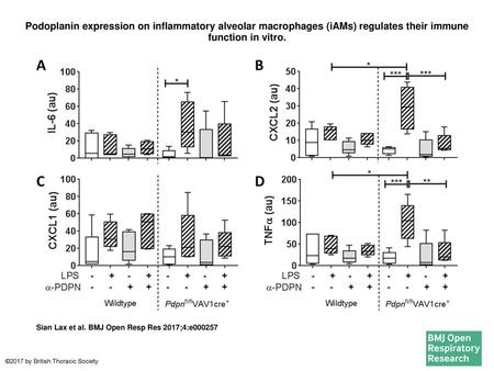 Podoplanin expression on inflammatory alveolar macrophages (iAMs) regulates their immune function in vitro. Podoplanin expression on inflammatory alveolar.