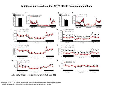 Deficiency in myeloid-resident NRP1 affects systemic metabolism.