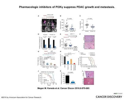 Pharmacologic inhibitors of PI3Kγ suppress PDAC growth and metastasis.