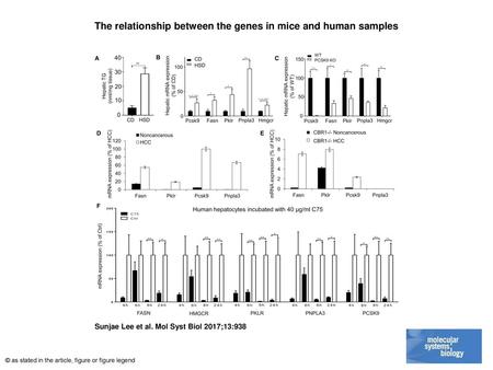 The relationship between the genes in mice and human samples