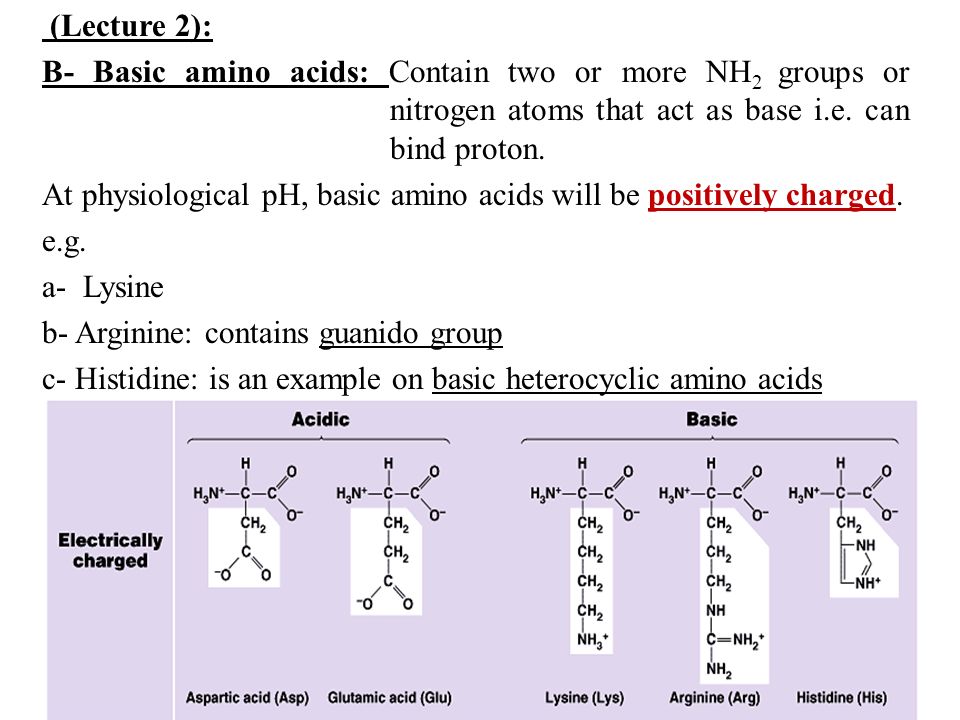 download redox active amino acids in