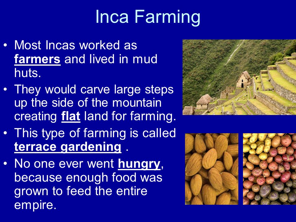Image result for incas step farming