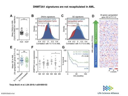 DNMT3A1 signatures are not recapitulated in AML.