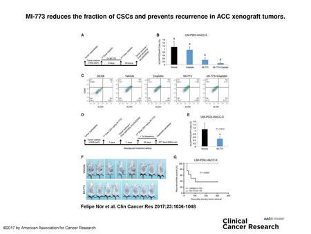 MI-773 reduces the fraction of CSCs and prevents recurrence in ACC xenograft tumors. MI-773 reduces the fraction of CSCs and prevents recurrence in ACC.