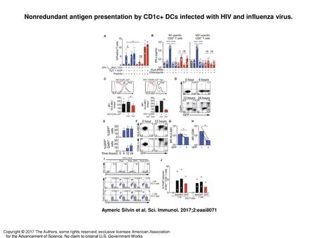 Nonredundant antigen presentation by CD1c+ DCs infected with HIV and influenza virus. Nonredundant antigen presentation by CD1c+ DCs infected with HIV.