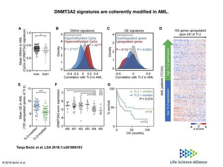 DNMT3A2 signatures are coherently modified in AML.