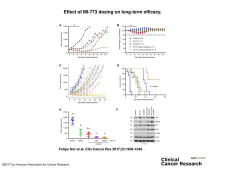Effect of MI-773 dosing on long-term efficacy.