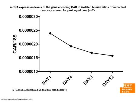 MRNA expression levels of the gene encoding CAR in isolated human islets from control donors, cultured for prolonged time (n=2). mRNA expression levels.