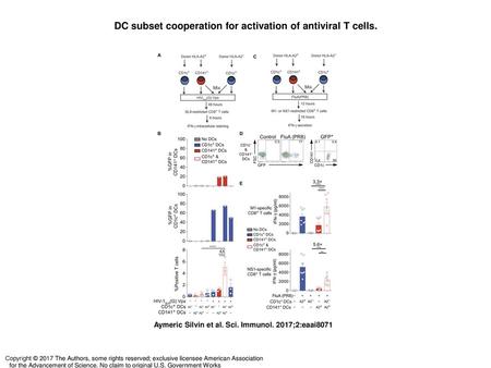 DC subset cooperation for activation of antiviral T cells.