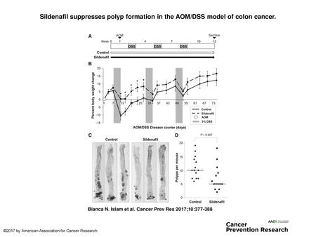 Sildenafil suppresses polyp formation in the AOM/DSS model of colon cancer. Sildenafil suppresses polyp formation in the AOM/DSS model of colon cancer.