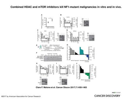 Combined HDAC and mTOR inhibitors kill NF1-mutant malignancies in vitro and in vivo. Combined HDAC and mTOR inhibitors kill NF1-mutant malignancies in.