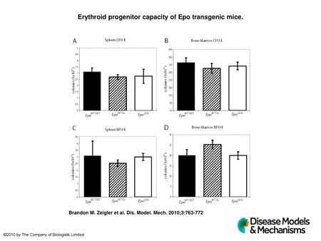 Erythroid progenitor capacity of Epo transgenic mice.
