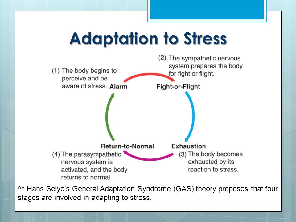 gas stages of stress