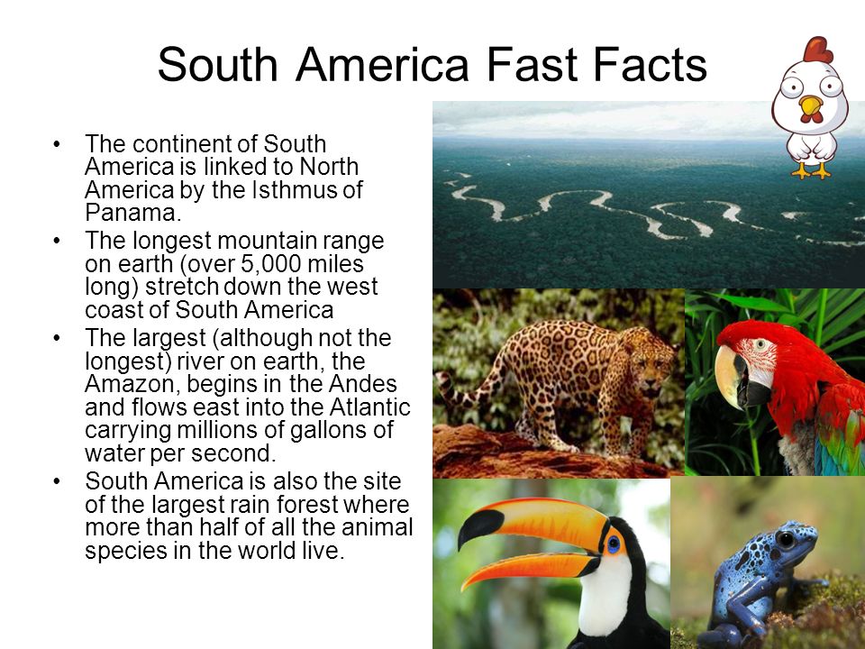 Information On Latin America 96