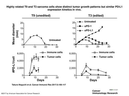 Highly related T9 and T3 sarcoma cells show distinct tumor growth patterns but similar PD-L1 expression kinetics in vivo. Highly related T9 and T3 sarcoma.