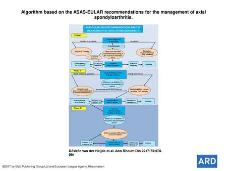 Algorithm based on the ASAS-EULAR recommendations for the management of axial spondyloarthritis. Algorithm based on the ASAS-EULAR recommendations for.