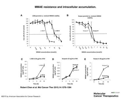 MMAE resistance and intracellular accumulation.