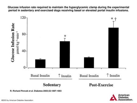 Glucose infusion rate required to maintain the hyperglycemic clamp during the experimental period in sedentary and exercised dogs receiving basal or elevated.