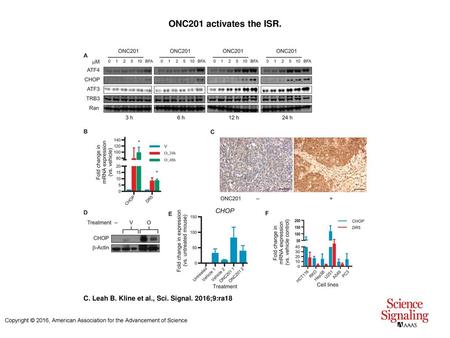ONC201 activates the ISR. ONC201 activates the ISR. (A) Western blotting analysis for ATF4, CHOP, ATF3, and TRB3 on lysates from HCT116 cells cultured.