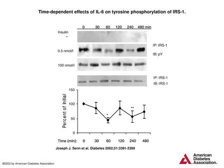 Time-dependent effects of IL-6 on tyrosine phosphorylation of IRS-1.