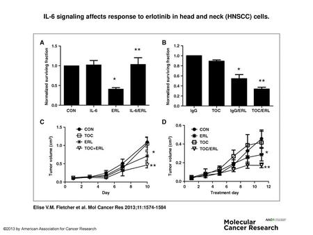 IL-6 signaling affects response to erlotinib in head and neck (HNSCC) cells. IL-6 signaling affects response to erlotinib in head and neck (HNSCC) cells.