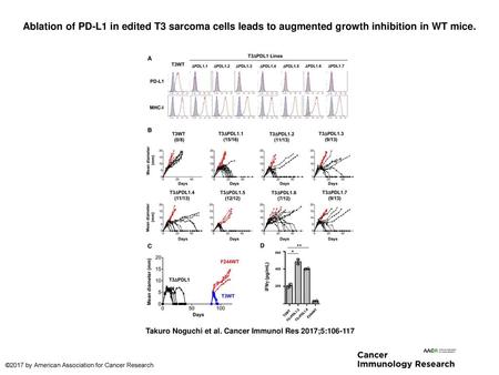 Ablation of PD-L1 in edited T3 sarcoma cells leads to augmented growth inhibition in WT mice. Ablation of PD-L1 in edited T3 sarcoma cells leads to augmented.
