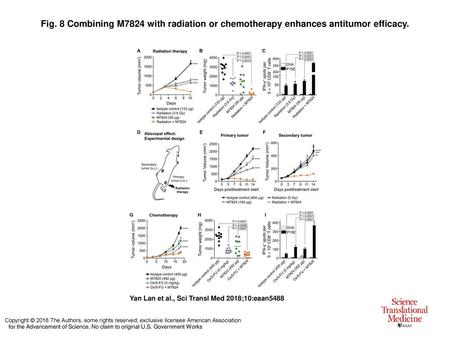 Fig. 8 Combining M7824 with radiation or chemotherapy enhances antitumor efficacy. Combining M7824 with radiation or chemotherapy enhances antitumor efficacy.