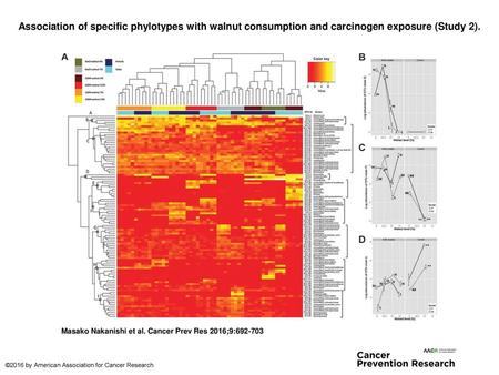 Association of specific phylotypes with walnut consumption and carcinogen exposure (Study 2). Association of specific phylotypes with walnut consumption.