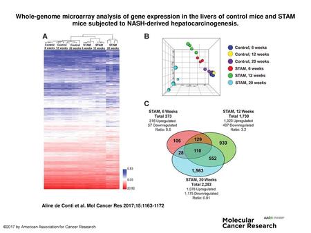 Whole-genome microarray analysis of gene expression in the livers of control mice and STAM mice subjected to NASH-derived hepatocarcinogenesis. Whole-genome.