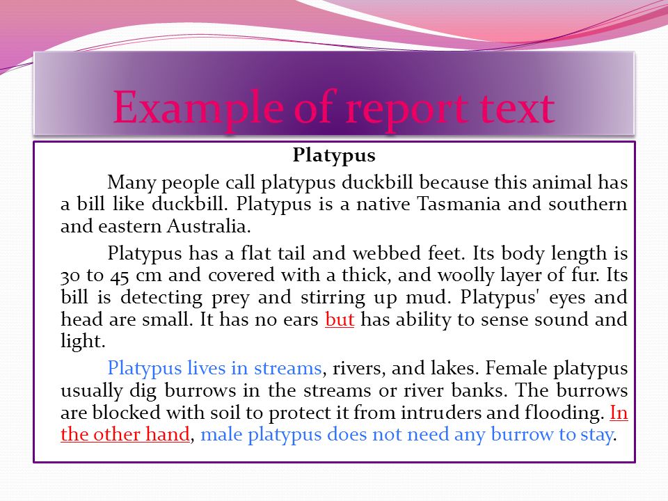 Example Text Report Animal Writing Information Reports
